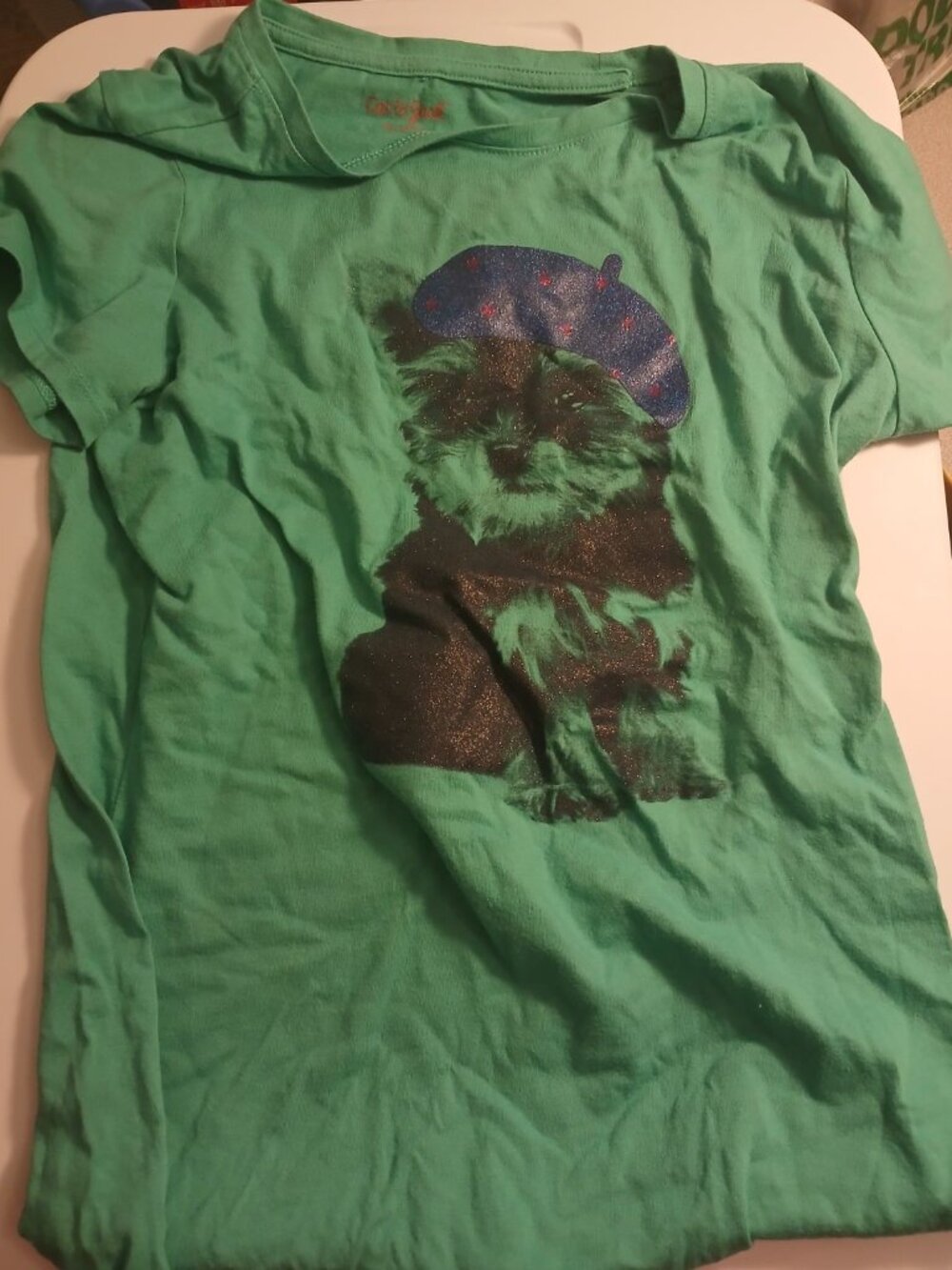 Cat & Jack XL 14/16 Girls Teal Dog Shirt